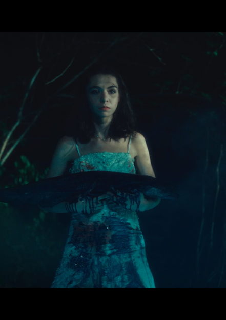 THE CATFISH